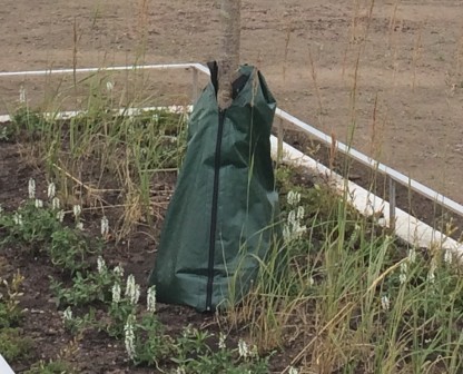 Irrigation Pouch for newly planted trees and shrubs