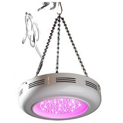 Lamps