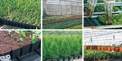 Pots and Trays