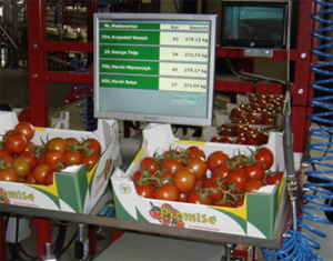 Monitor P-Plus