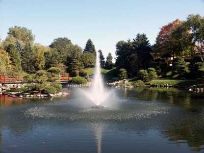 Fountain 0.5 Hp 220V 2.2 Amp 480W 38cm >1300m²