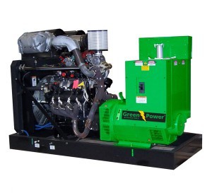 Natural Gas Power Generator 25kVA 20kW, Openframe, Manual or Automatic Starting