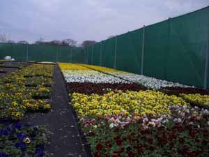 Wind nets / Wind fabric  - 
