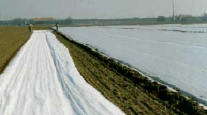 Cultivation fabric -  