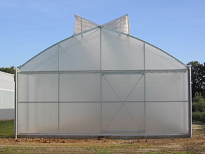 Greenhouse SCANDI  ®  800
