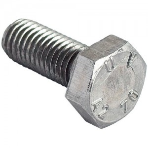 Bolt with Zinc nut M10x 30mm 