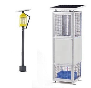 Solar powered insect killer in lamp