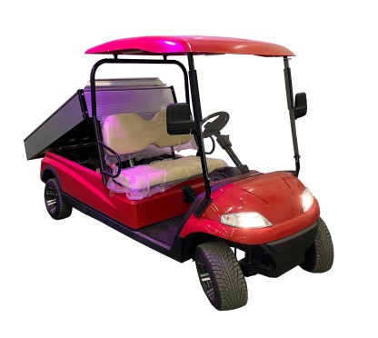 Electric car Club LVT Sports 2 seater speed 30Km mileage 90Km/charge, RED