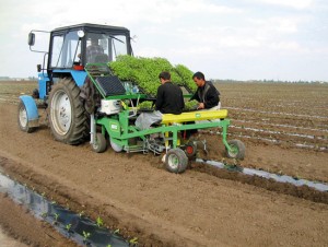 Planting machine for 2 rows