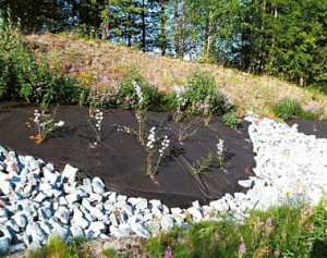 Ground cover Mypecks VICONA, TT®